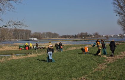 Reinigung der Kämpe 2019