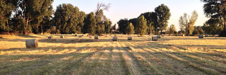 DüsseldorfUrdenbach News, Aktuelles und allgemeine Informationen