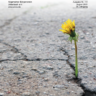 Ausgabe der KUP September 2021